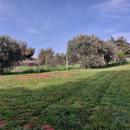 Black N' White Cozy Housegarden Alexandroupoli Exterior photo